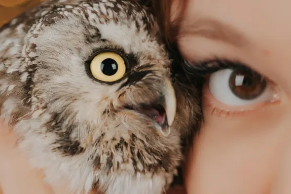 Casino MR Fortune Podrška